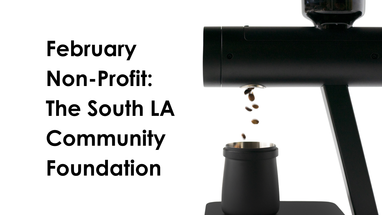 Monthly Non-Profit: The South LA Community Foundation