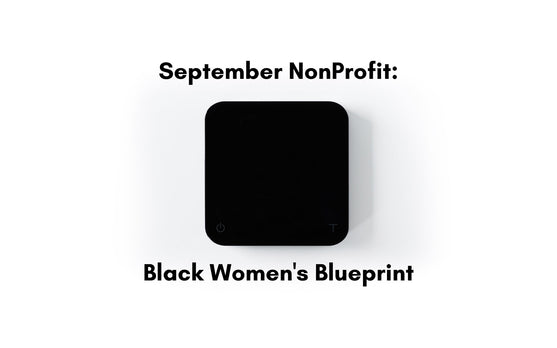 September Nonprofit: Black Women's Blueprint