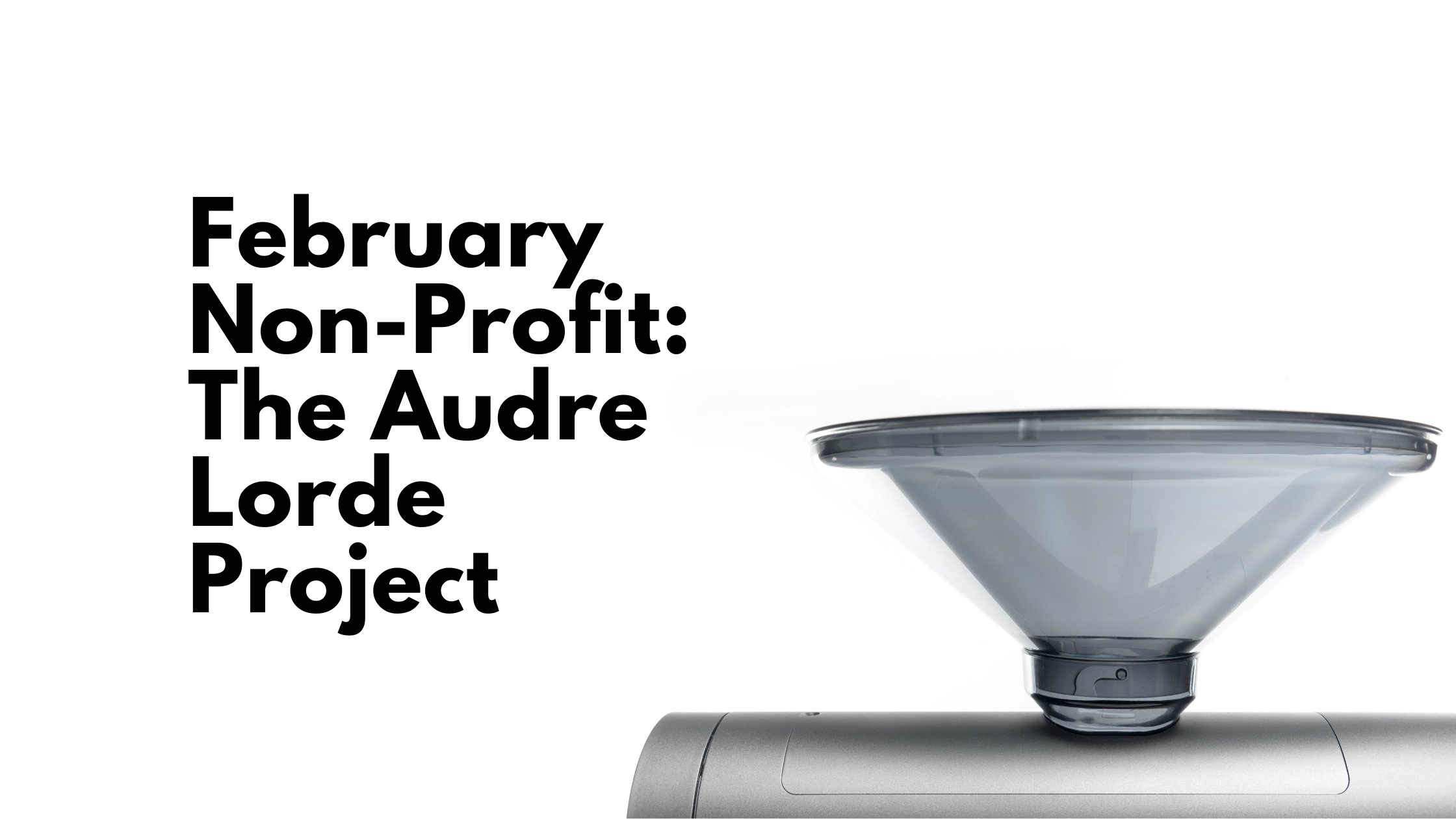 Monthly Non-Profit: The Audre Lorde Project