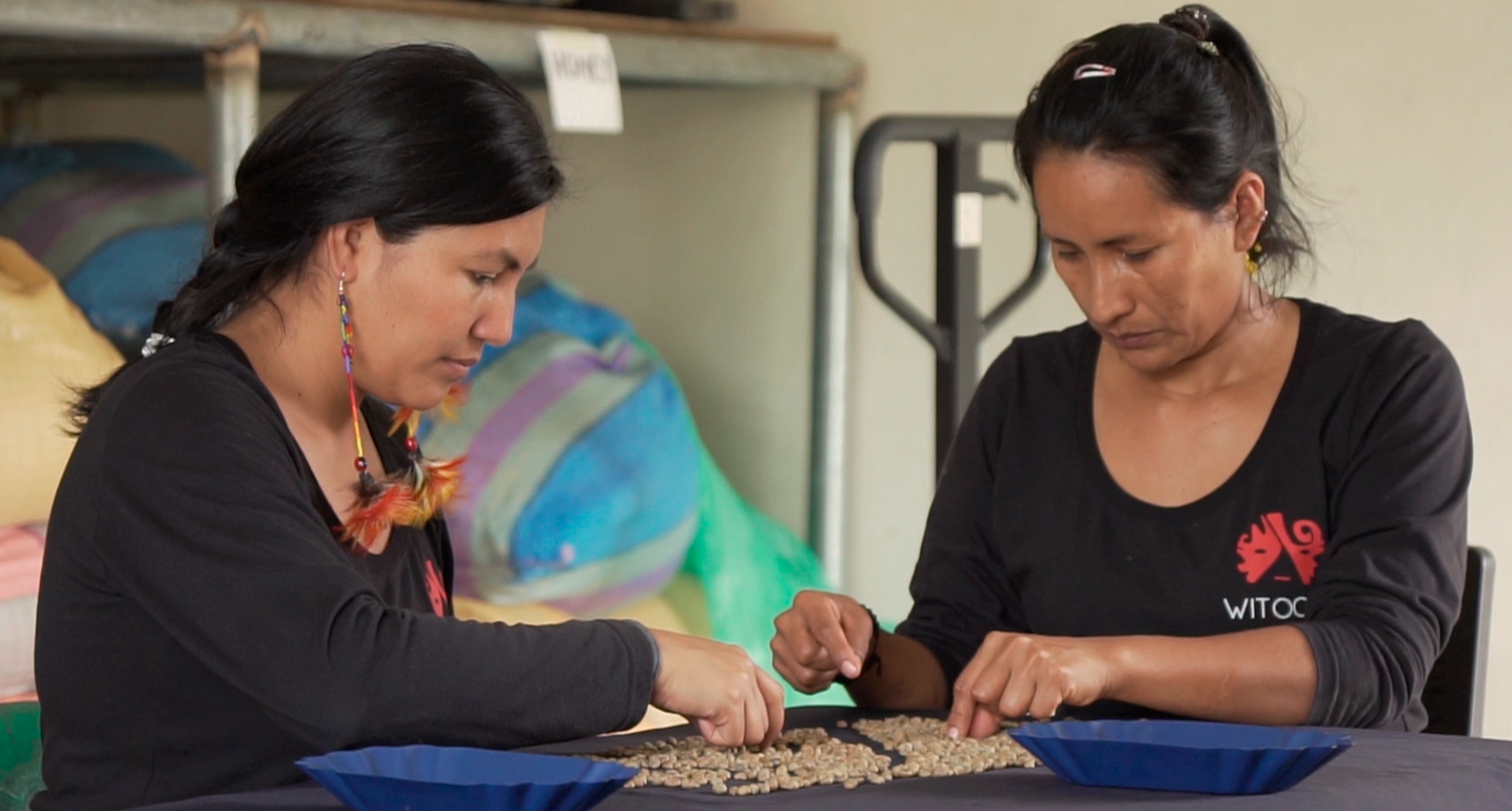 Two people sorting green coffee beans by hand. Photo by Gabriel Granja