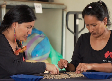 Two people sorting green coffee beans by hand. Photo by Gabriel Granja