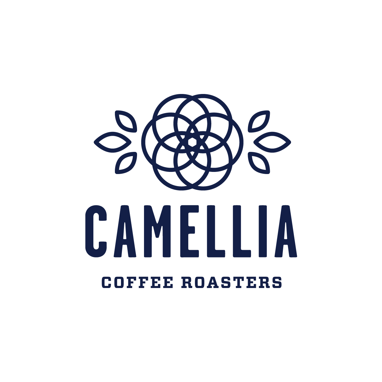 Camellia