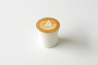 Double Insulated Cup