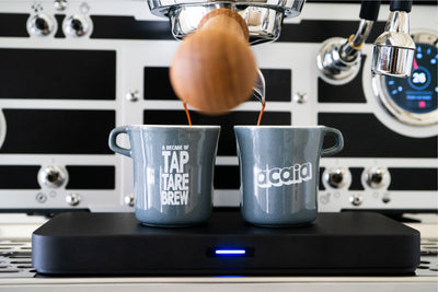 Mini Tasting Cup 2 oz / 60 ml