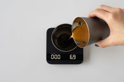 Spouted Double Insulated Cup
