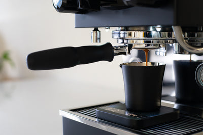 Spouted Double Insulated Cup