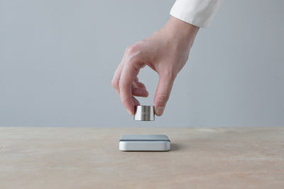Calibration Weight 100 g